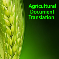 Agricultural Document Translation