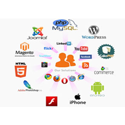 Web Solution Services Web Solution Services