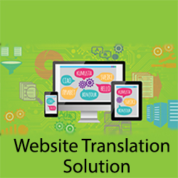 Website Translation Solution